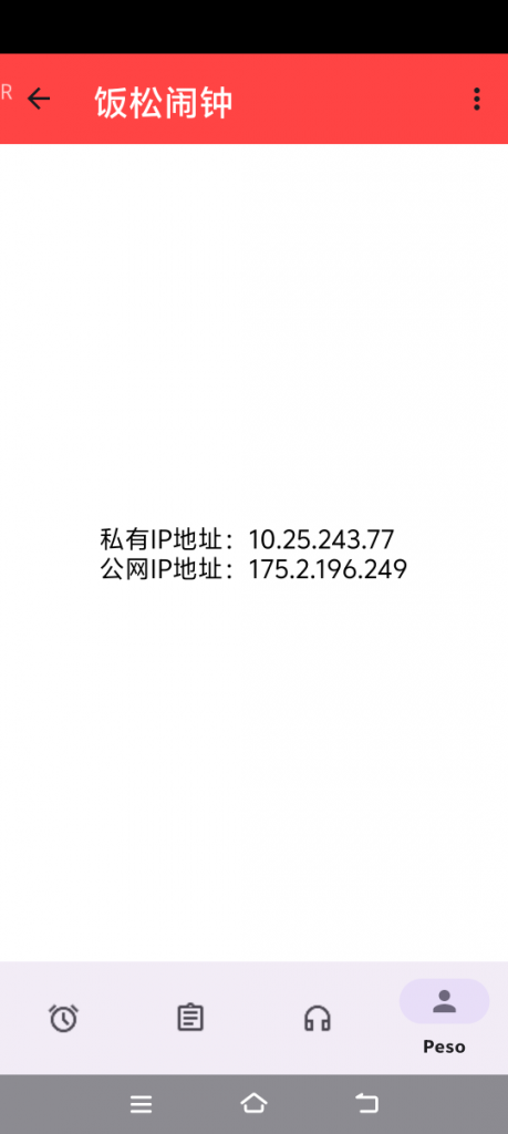 饭松闹钟APPIP地址查看器功能图